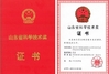 中国 SINOTRUK INTERNATIONAL CO., LTD. 認証