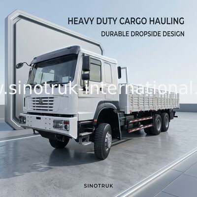 シノトルク ホウ 全新 貨物 トラック 6 × 6 全輪駆動 Lhd 10 輪長貨物箱