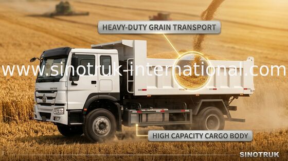 金 SINOTRUK 王子のダンプカーのダンプ トラック 290HP 4X2 LHD 16tons 9-13CBM ZZ3161M3811C1