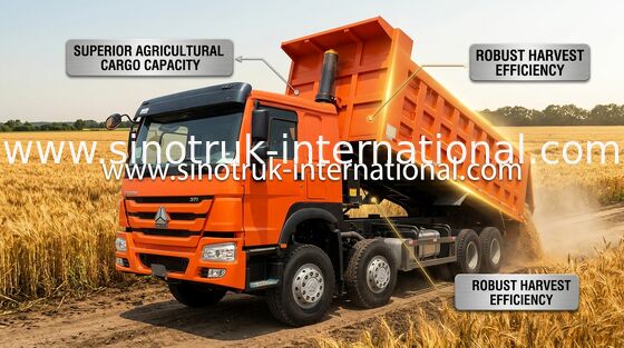 ダンプカー トラックSINOTRUK HOWO 371HP 12は31トンのLHDを20-30CBM ZZ3317N3567W動かします