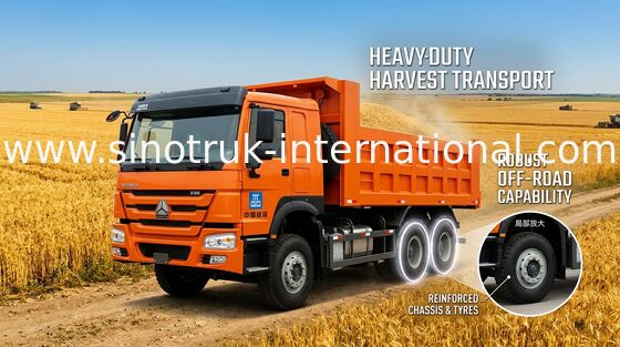 371HP 10 荷車引きのダンプ トラック容量 30 - 40 T 低い燃料消費料量 75 の Km/H の