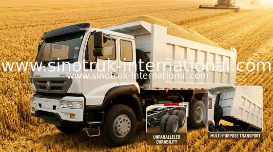 SINOTRUK の金王子ダンプ トラック 10Wheels 336HP LHD 25-30tons ZZ3251N3641W