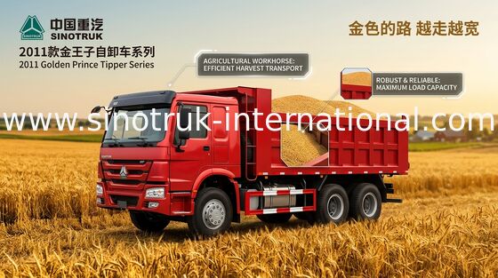 SINOTRUK の金王子ダンプ トラック 10Wheels 336HP RHD 25-30tons ZZ3251N3641W