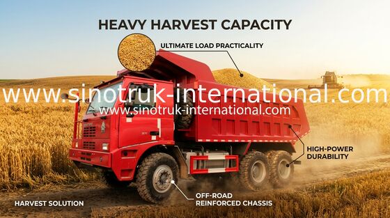 70 採鉱のダンプカーのダンプ トラック、ユーロ 2 SINOTRUK HOWO 6x4 のダンプ トラック