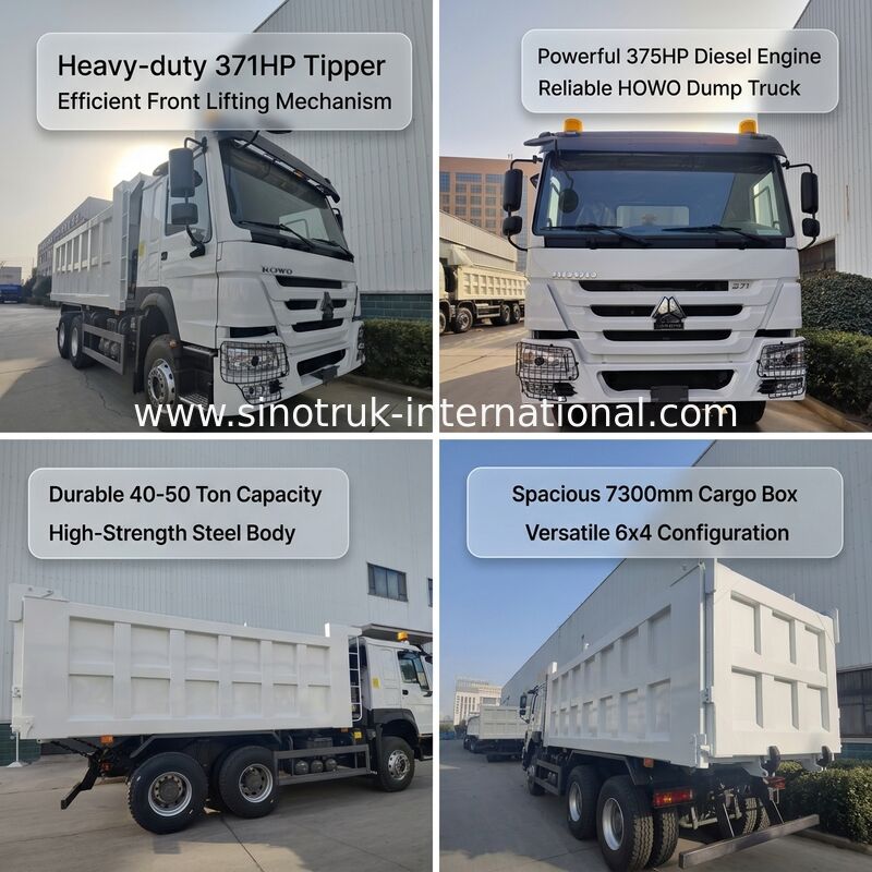 SINOTRUK HOWO 371HP 10輪と長方形貨物箱の重用ターパーダンプトラック