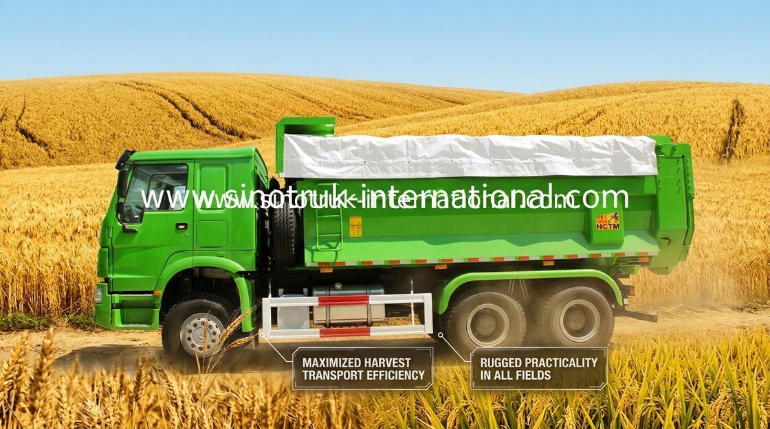 地方自治体の頑丈なダンプカーのダンプ トラックSINOTRUK HOWO LHD 336HP 10は動きます