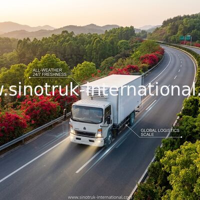 SINOTRUK HOWO 10トンの冷蔵トラック160HP RHD