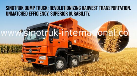 ダンプ トラック SINOTRUK HOWO 371HP 12 は LHD 31tons 20-30CBM ZZ3317N3867W を動かします